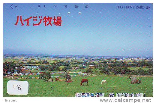 Télécarte CHEVAL (18) Pferd - Horse - Paard - Caballo Phonecard Animal Japon - Chevaux