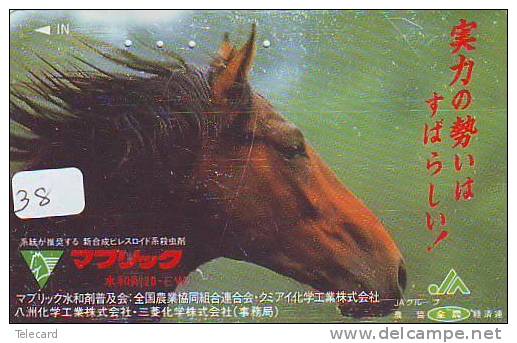 Télécarte CHEVAL (38) Pferd - Horse - Paard - Caballo Phonecard Animal Japon - Chevaux