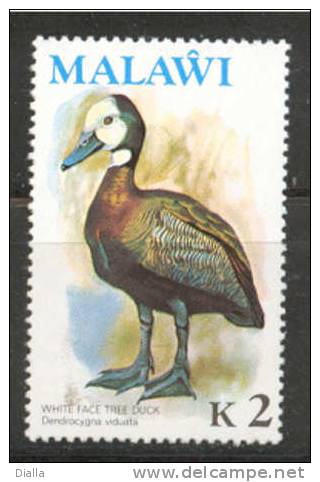MALAWI 1975 Dendrocygne Veuf Oiseau / Bird  White-faced Whistling-Duck MNH ** - Canards