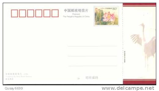 Bird, Crane,   Pre-stamped Postcard, Postal Stationery - Grues Et Gruiformes
