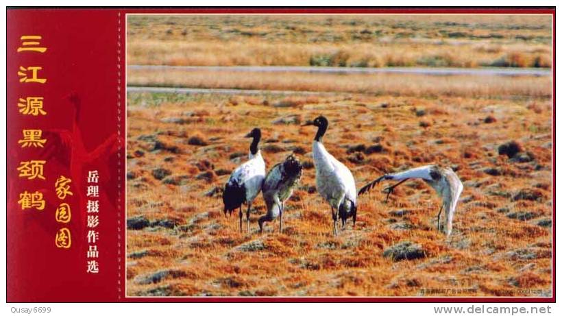 Bird, Crane,   Pre-stamped Postcard, Postal Stationery - Kraanvogels En Kraanvogelachtigen