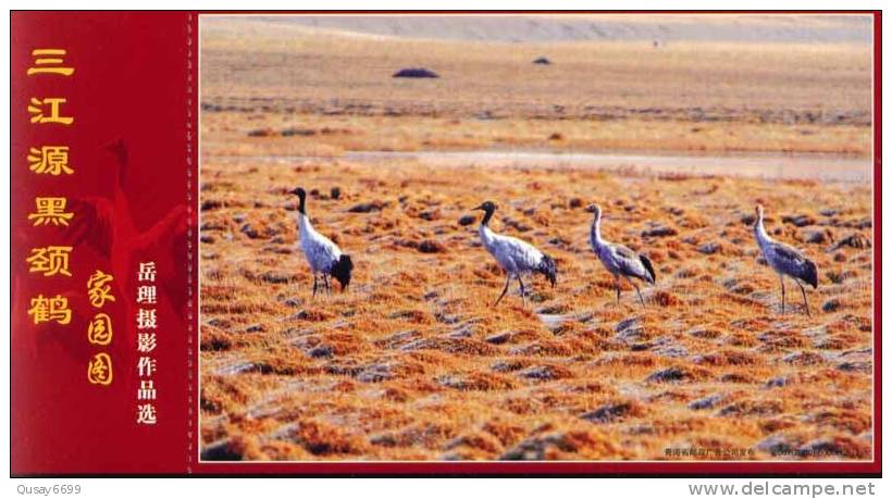 Bird, Crane,   Pre-stamped Postcard, Postal Stationery - Grues Et Gruiformes