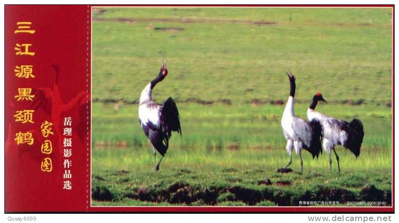 Bird, Crane,   Pre-stamped Postcard, Postal Stationery - Kraanvogels En Kraanvogelachtigen