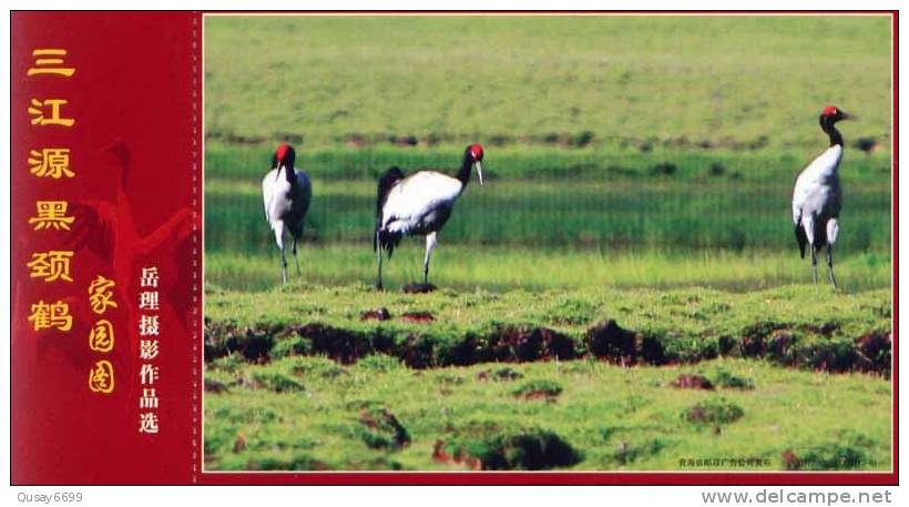 Bird, Crane,   Pre-stamped Postcard, Postal Stationery - Kranichvögel