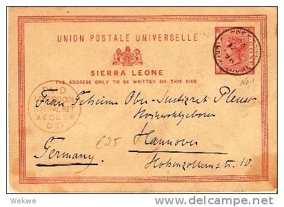 SIE005 / SIERRA-LEONE -  Victoria Ganzsache  P1, Mit Liverpool Paid, 1898 (Brief, Cover, Letter, Lettre) - Sierra Leone (...-1960)