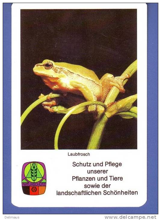 Laubfrosch Pflanzen Und Tiere Schützen Naturschutz Der DDR - Kleinformat : 1981-90