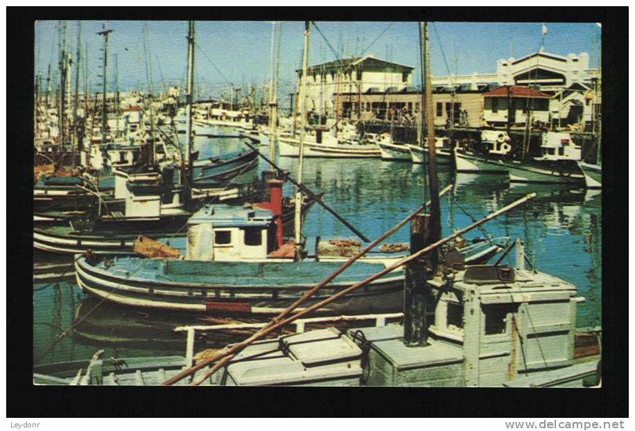 Fisherman's Wharf, San Francisco, California - Fishing Boats