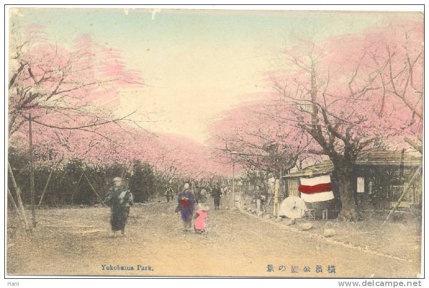 JAPON - JAPAN - Yokohama Park (841) - Yokohama