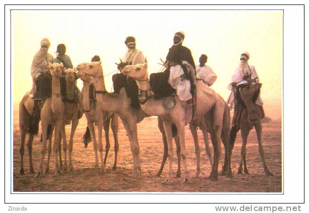 PHOTO DU NIGER - TEGUIDDA N'TESSOUMT - LA CURE SALEE - FORMAT CARTE POSTALE - Niger