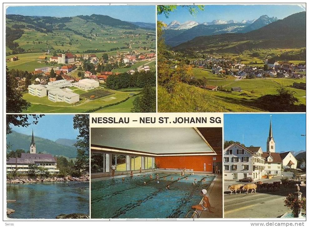 Nesslau  Neu St.Johann  (Kühe) - Au