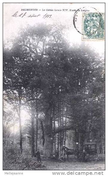 Cpa Rethondes (60) Le Chêne Louis XIV ,forêt De Laigne . Animée . Dos Blanc Non Séparé , 1913 - Rethondes