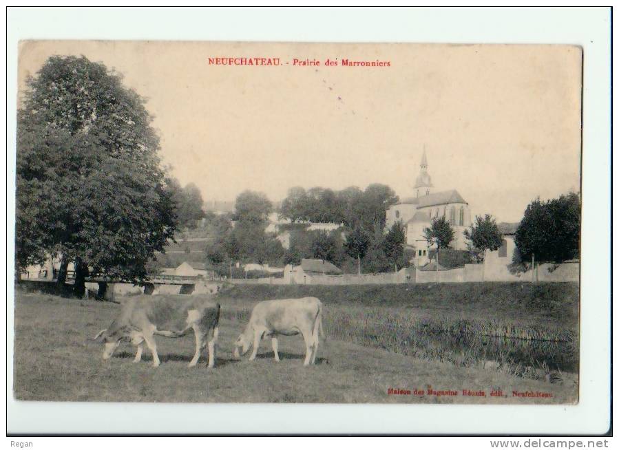 CPA----88------NEUFCHATEAU-----PRAIRIE Des MARRONNIERS - Neufchateau