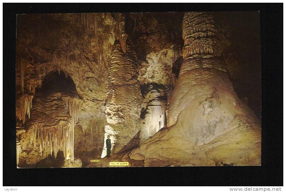 Hall Of Giants And Draperies Carlsbad Caverns National Park, New Mexico - Autres & Non Classés