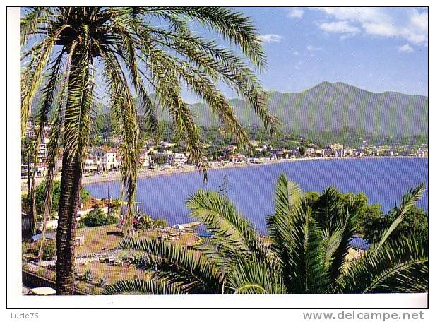 LE CAP MARTIN - Vue Sur CARNOLES Et MENTON - Roquebrune-Cap-Martin