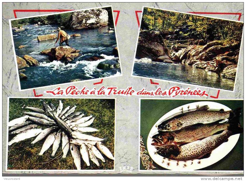 CPSM. LA PECHE A LA TRUITE DANS LES PYRENEES. - Fishing