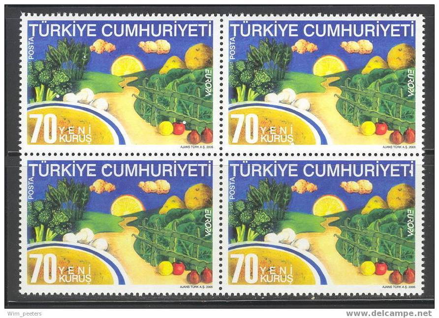 Europa CEPT 2005: Turkije / Turquie / Turkey / Turkei - Bloc Of  4 ** - 2005