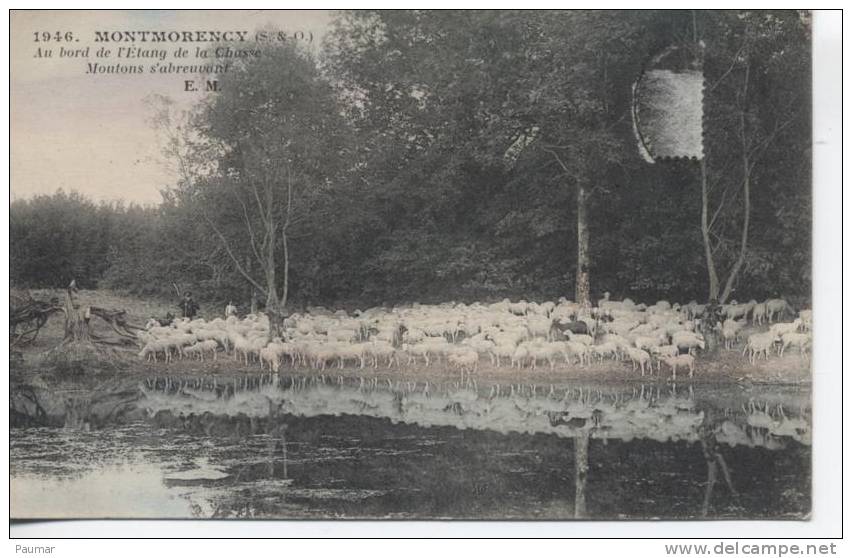 Montmorency   Moutons Au Bord De L'Etang De La Chasse - Soisy-sous-Montmorency