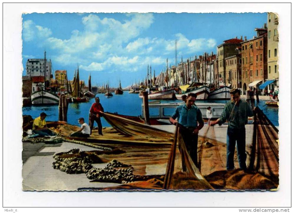 Chioggia Animata Pescatori  Splendida 1960 - Chioggia