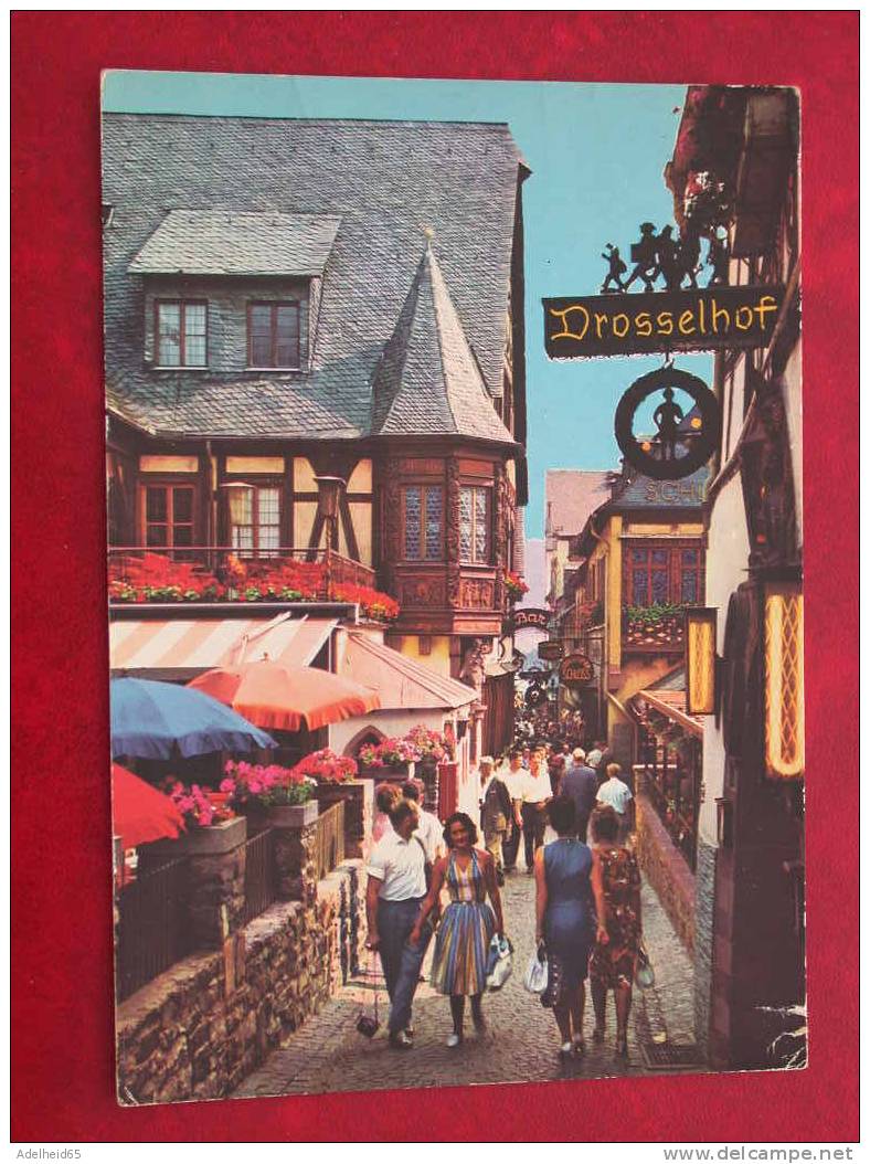 Ruedesheim Am Rhein, Drosselgasse, Drosselhof, Animée, Geanimeerd - Darmstadt