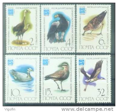 USSR 1982-5181-6 BIRDS, S S S R, 6v, MNH - Möwen