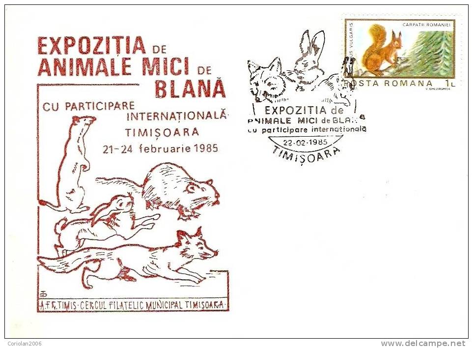 Romania / Special Cover With Special Cancellation - Natur