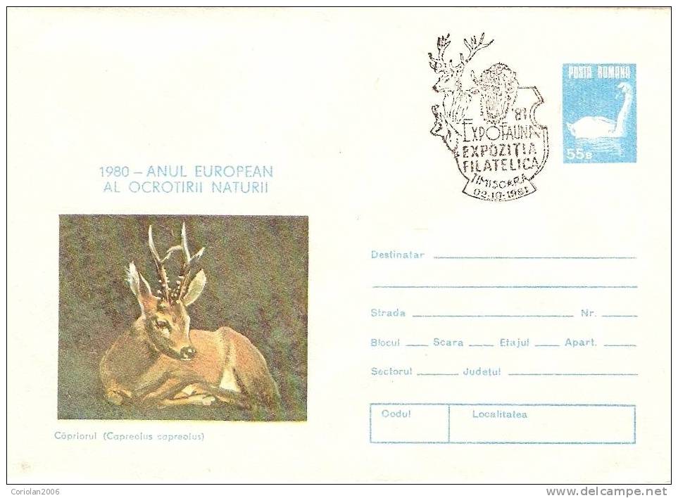 Romania /postal Stationery With Special Cancellation / Expofauna '81 - Nature