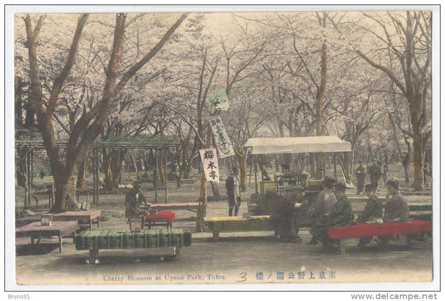 TOKIO : Cherry Blossom At Yeno Park . Ecrite En 1909 , Written In 1909 . - Tokyo