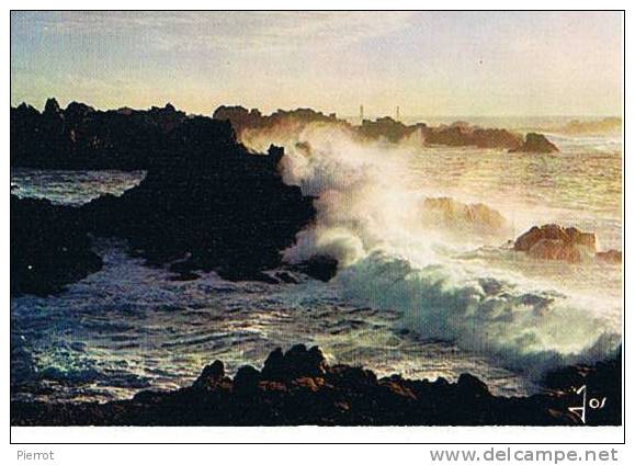 150108B : Belle CPM : Ouessant - Ouessant