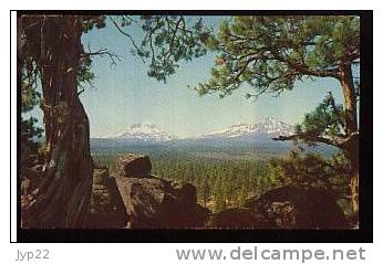 Jolie CP Etats Unis USA Central Oregon The Three Sisters - Cp Pas écrite - Andere & Zonder Classificatie