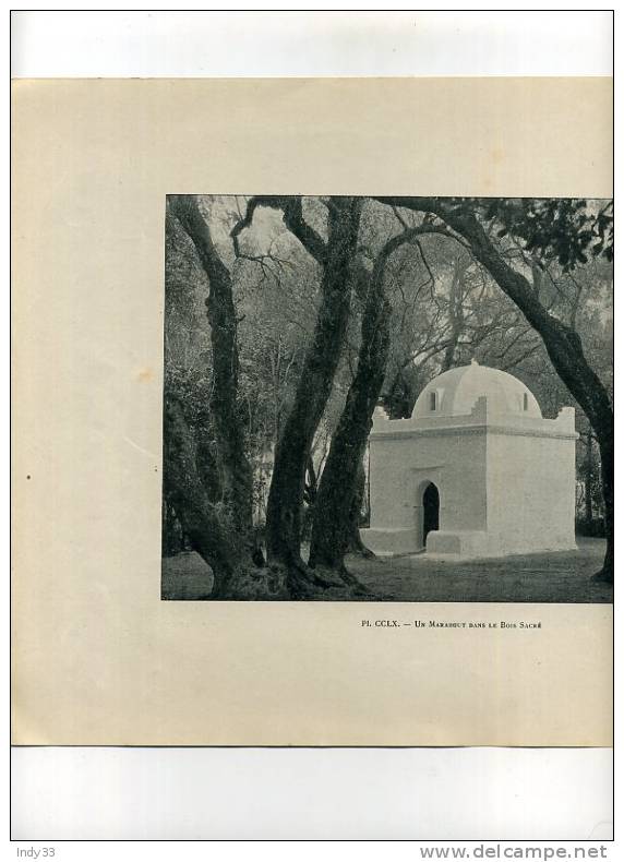 - REPROS DE PHOTOS RECTO-VERSO DE LA FIN DU XIXe S. 1. BLIDAH CIMETIERE D´EL KEBIR 2. UN MARABOUT DANS LE BOIS SACRE - Religion & Esotericism