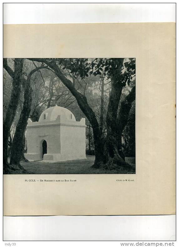 - REPROS DE PHOTOS RECTO-VERSO DE LA FIN DU XIXe S. 1. BLIDAH CIMETIERE D´EL KEBIR 2. UN MARABOUT DANS LE BOIS SACRE - Religion & Esotericism