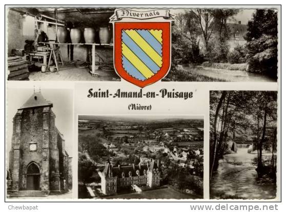 Saint-Amand-en-Puisaye - Multivues   - 10 C - Saint-Amand-en-Puisaye