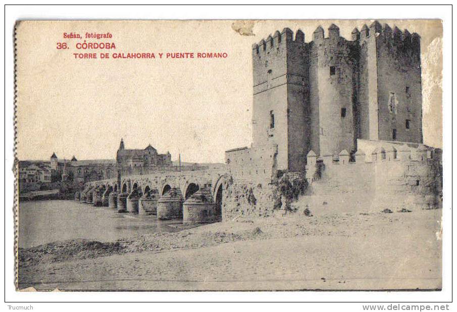 C3411 - CORDOBA - Torre De Calahorra Y Puente Romano - Córdoba