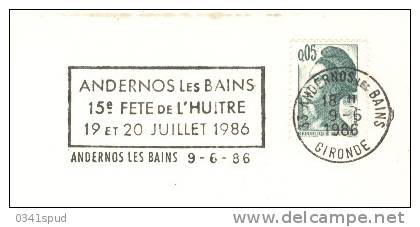 1986 France   33  Andernos Les Bains  Coquillages Shell  Conchiglie - Coneshells