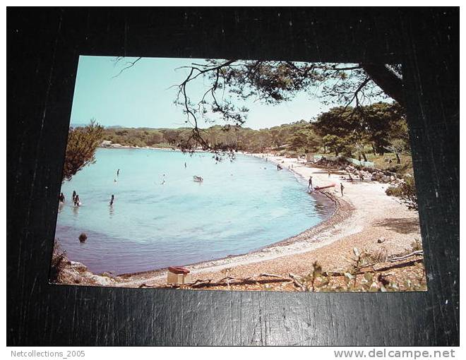 ILE DE PORQUEROLLES - PLAGE D'ARGENT - 83 VAR - CARTE POSTALE FRANCE - Porquerolles