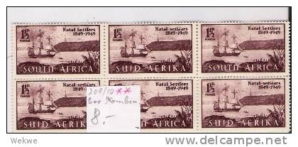 Spez022/  SÜDAFRIKA - Natal Siedler, Settlers 1949. 6-er Einheit Unit Of 6 ** - Unused Stamps