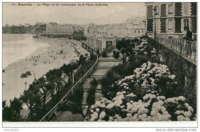 BIARRITZ - Plage Et Hortensias De La Place Bellevue  PRIX FIXE - Biarritz