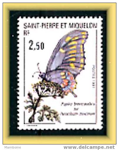 Saint Pierre Et Miquelon  1991  Papillon   N 534  Neuf X X - Ungebraucht
