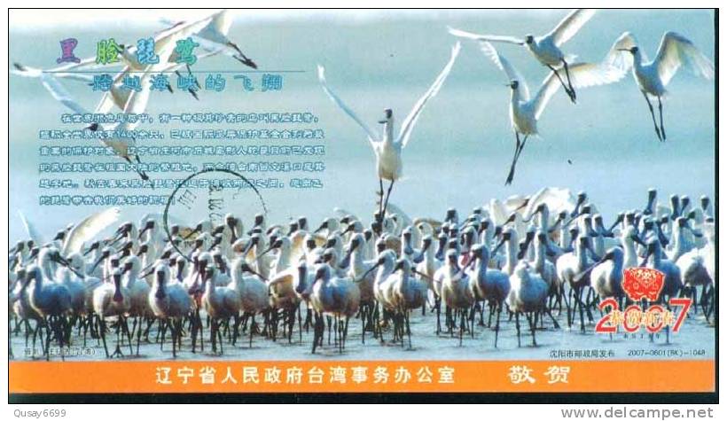 Bird, Heron,  Pre-stamped Postcard, Postal Stationery - Cicogne & Ciconiformi