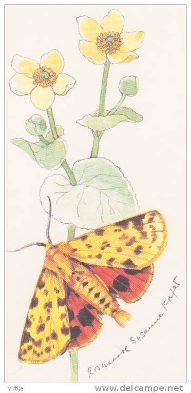 PAPILLON ROBERT-LE-DIABLE.- Dessin Par R.Susanne Corper (?).- Carte Double De 13,5 X 8,5 Cm. - Schmetterlinge