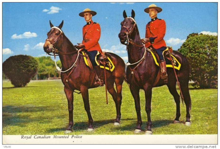 CANADA : Royal Canadian Mounted Police (Police Montée) Cavaldiers, Chevaux (circulée, 1982) 2 Scans. - Modern Cards