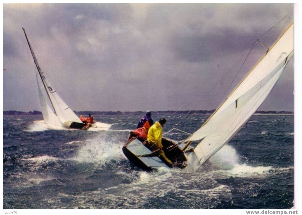 DRAGONS Au Près -  N° MX 6003 -  Photo Tirée De La Sélection Pour Le Livre PASSION De La VOILE - Voile