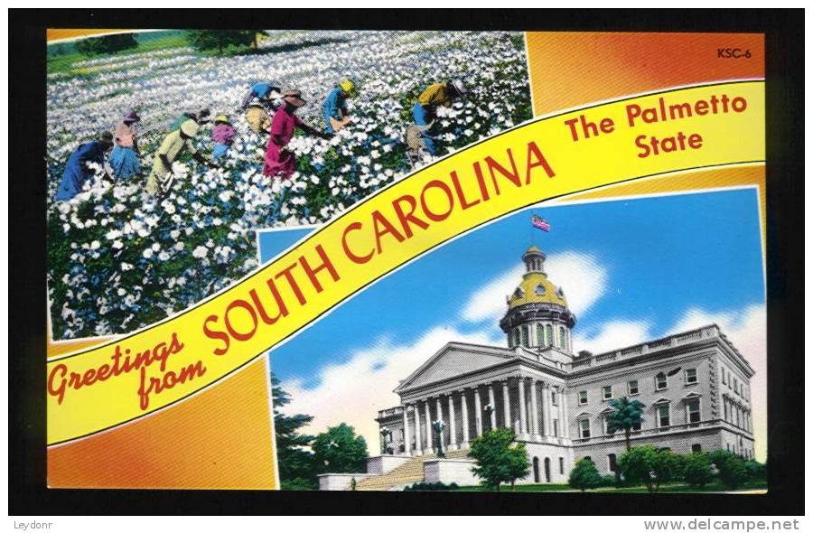 Greetings From South Carolina - The Palmetto State - Workers On Cotton Field - Other & Unclassified