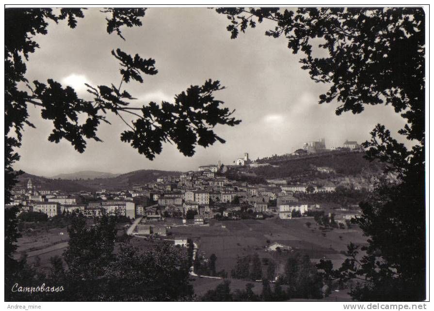 CAMPOBASSO, PANORAMA    MOL 3 - Campobasso