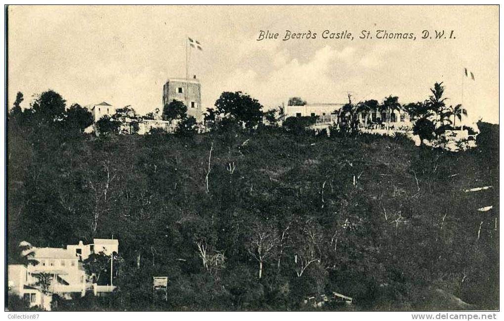 ANTILLES - ILES VIERGES - ST THOMAS - BLUE BEARDS CASTLE - CHÂTEAU De BARBE BLEU - FORT - Virgin Islands, US