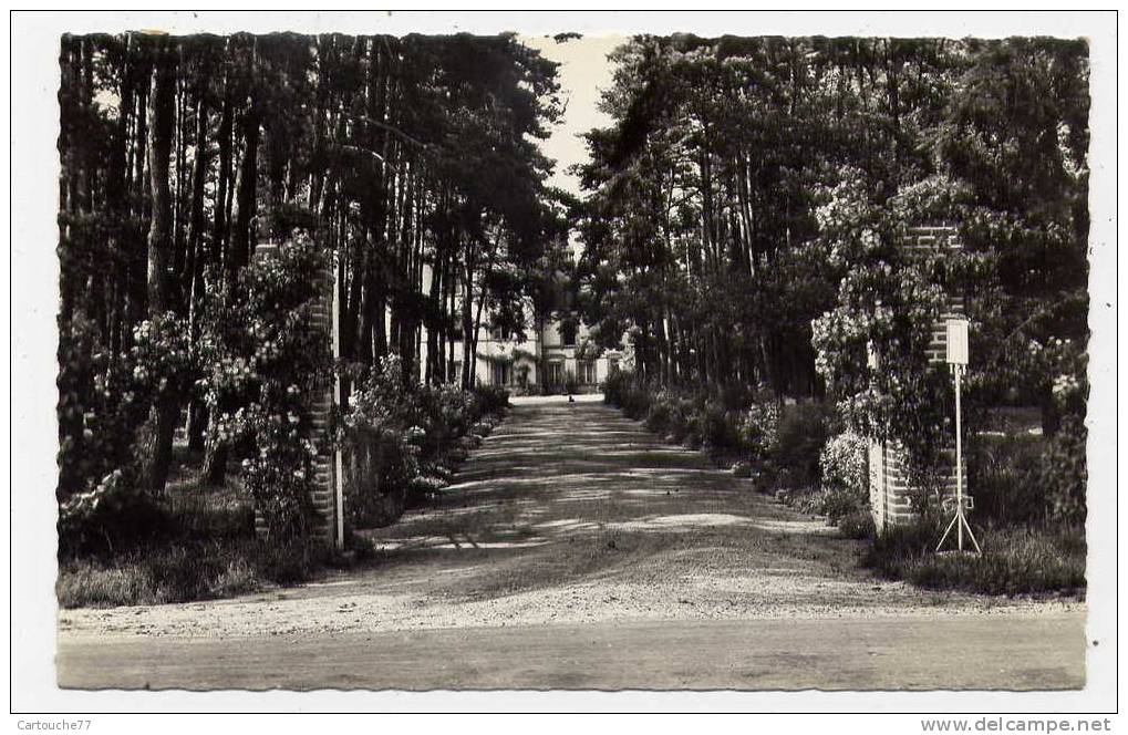 K10 - LAMOTTE-BEUVRON - Hôtel La Campagnarde (Jolie Carte Semi-moderne) - Lamotte Beuvron