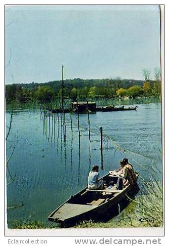 PECHE.. Au Saumon Sur La Loire  (année70 Format 10x15) - Pêche