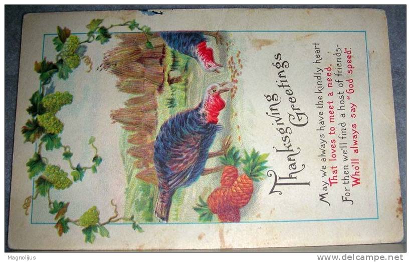 Holidays,Celebrations,Thanksgiving,Animals,Birds,Turkey,Grapes,Litho Print,vintage Postcard - Giorno Del Ringraziamento
