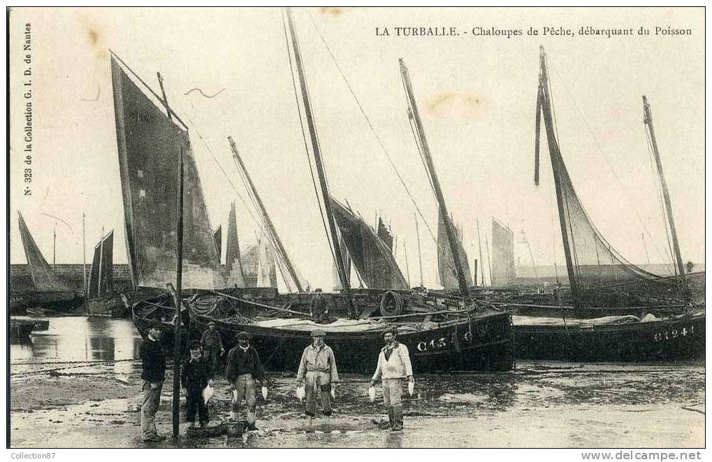 44 - LOIRE ATLANTIQUE - LA TURBALLE - PECHEUR - CHALOUPE De PECHE Debarquant Le POISSON - CLICHE 1900 - La Turballe