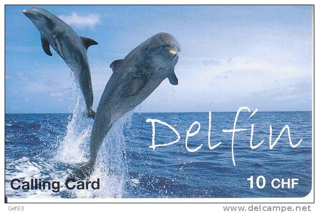 Dauphin / Delfin - Calling Card - Delfines